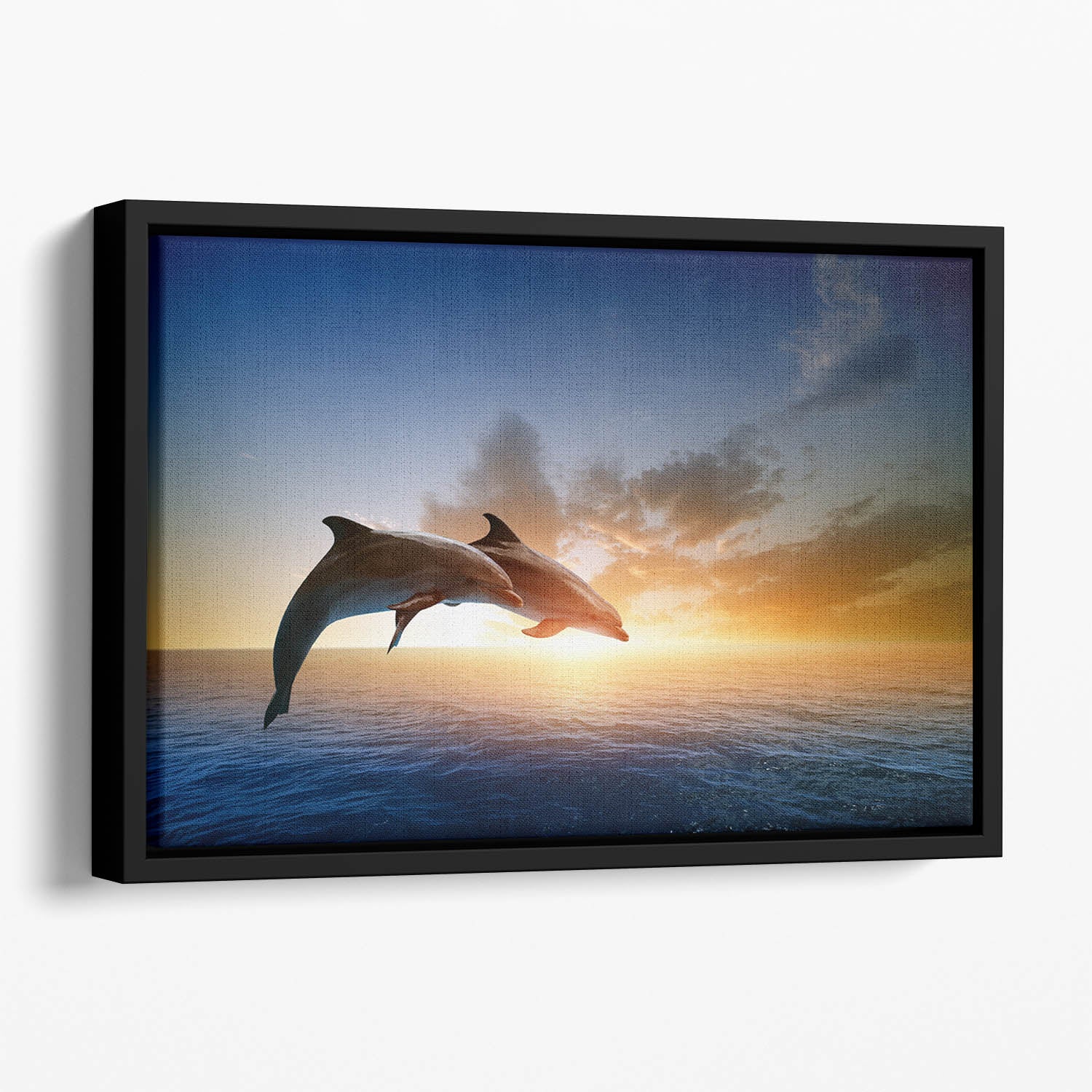 Couple jumping dolphins Floating Framed Canvas