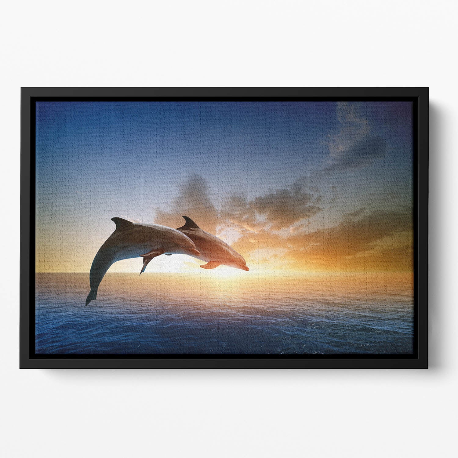 Couple jumping dolphins Floating Framed Canvas