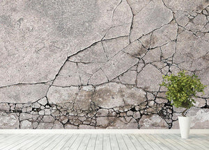 Cracked concrete Wall Mural Wallpaper - Canvas Art Rocks - 4