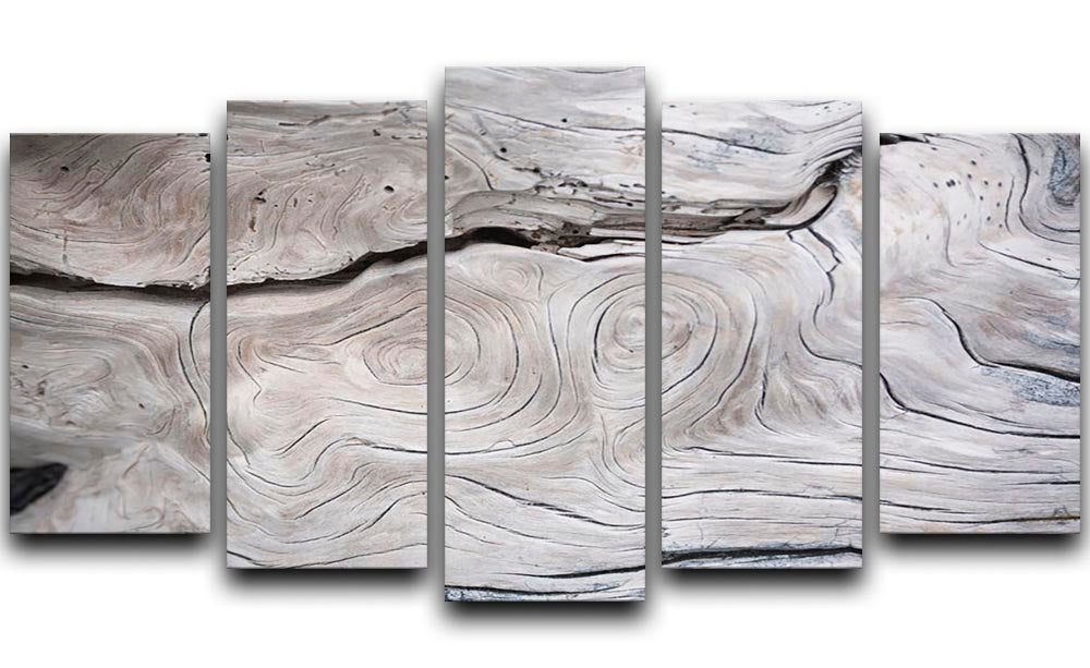 Cracks and structures in wood 5 Split Panel Canvas - Canvas Art Rocks - 1