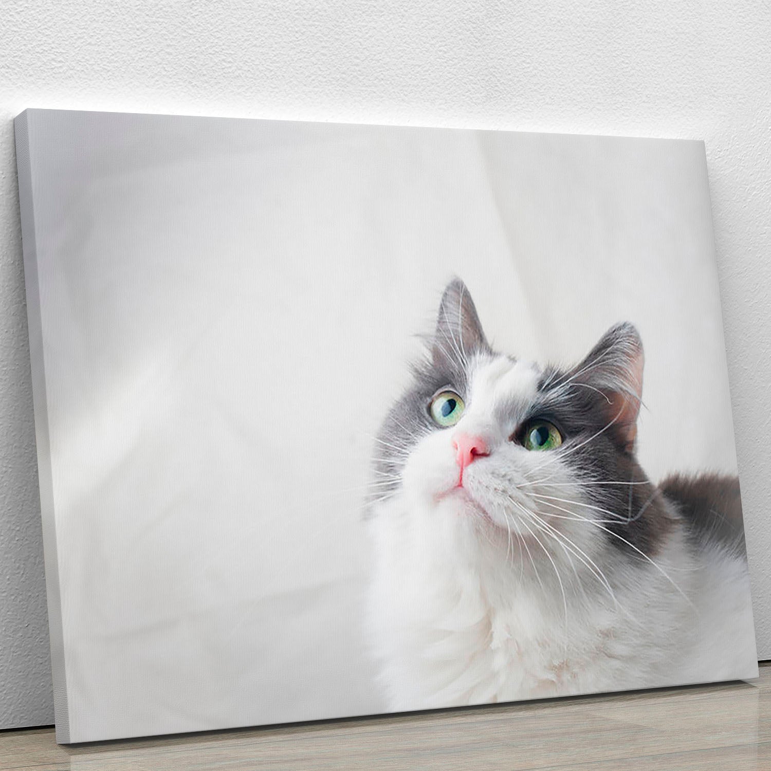 Curious cat looking up Canvas Print or Poster - Canvas Art Rocks - 1