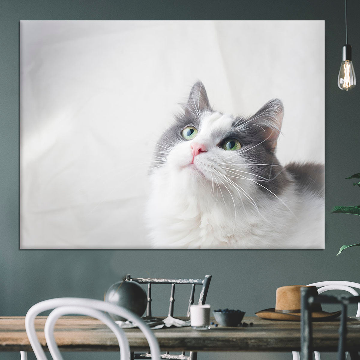 Curious cat looking up Canvas Print or Poster - Canvas Art Rocks - 3