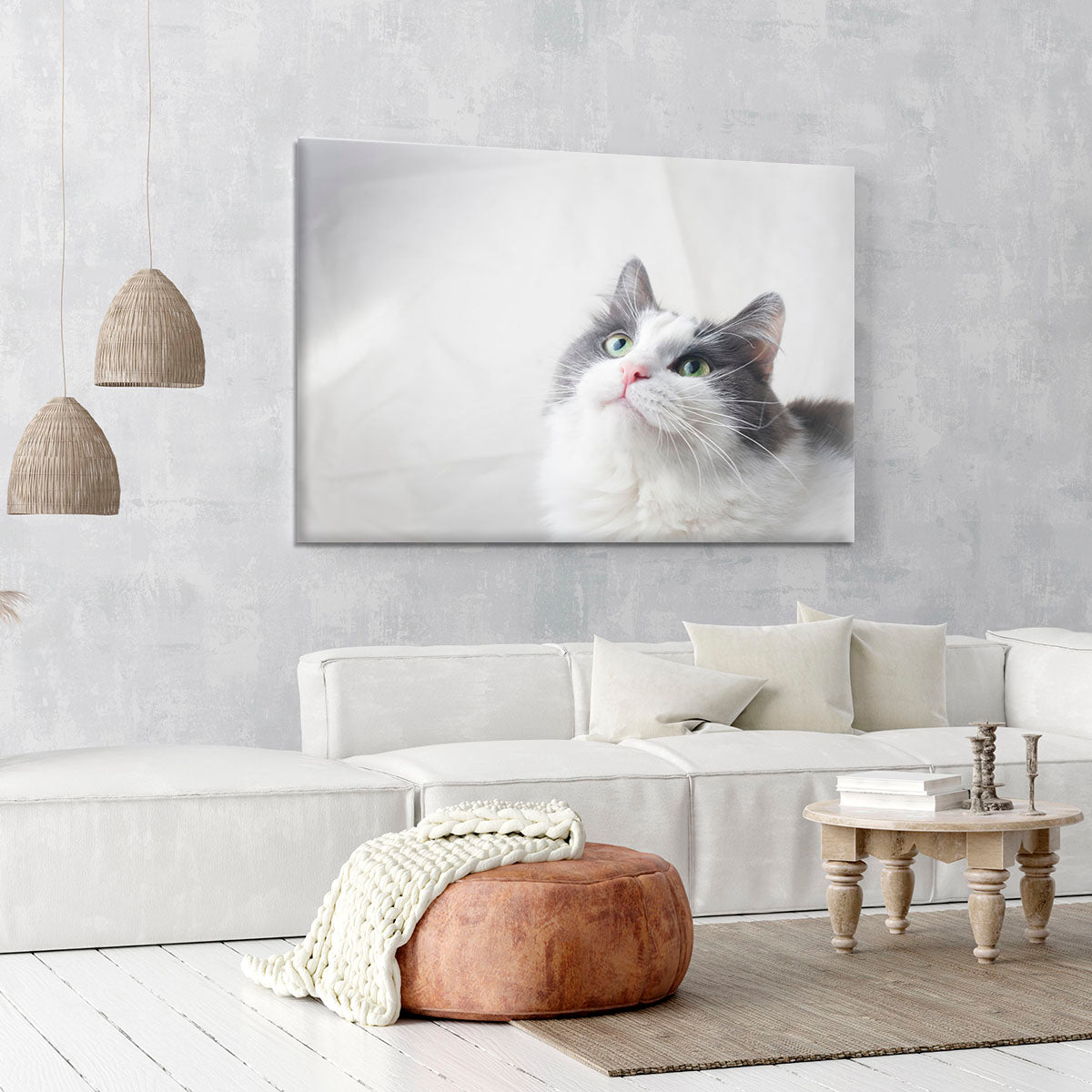 Curious cat looking up Canvas Print or Poster - Canvas Art Rocks - 6