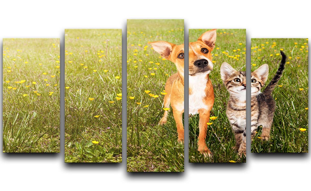 Cute kitten and puppy together in a field 5 Split Panel Canvas - Canvas Art Rocks - 1