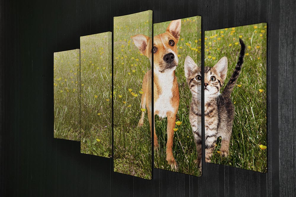 Cute kitten and puppy together in a field 5 Split Panel Canvas - Canvas Art Rocks - 2
