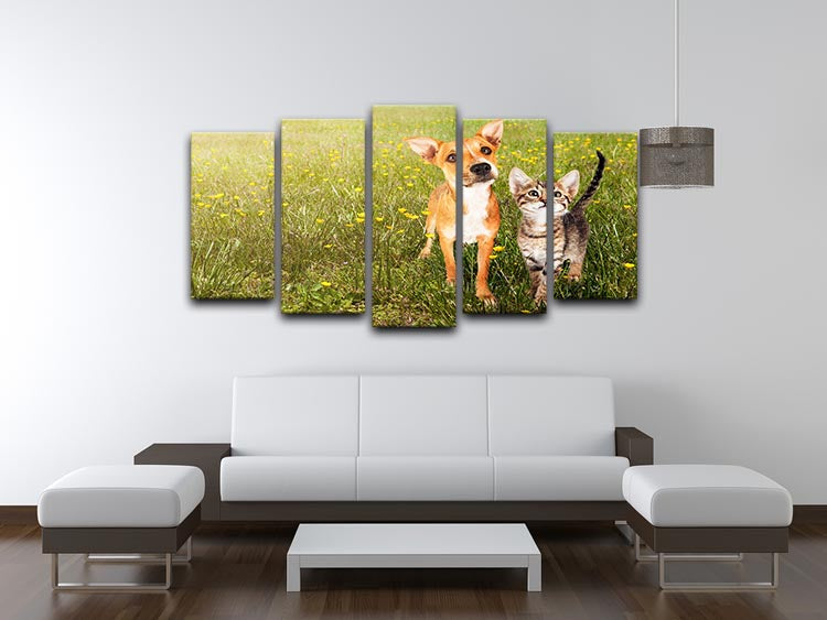 Cute kitten and puppy together in a field 5 Split Panel Canvas - Canvas Art Rocks - 3