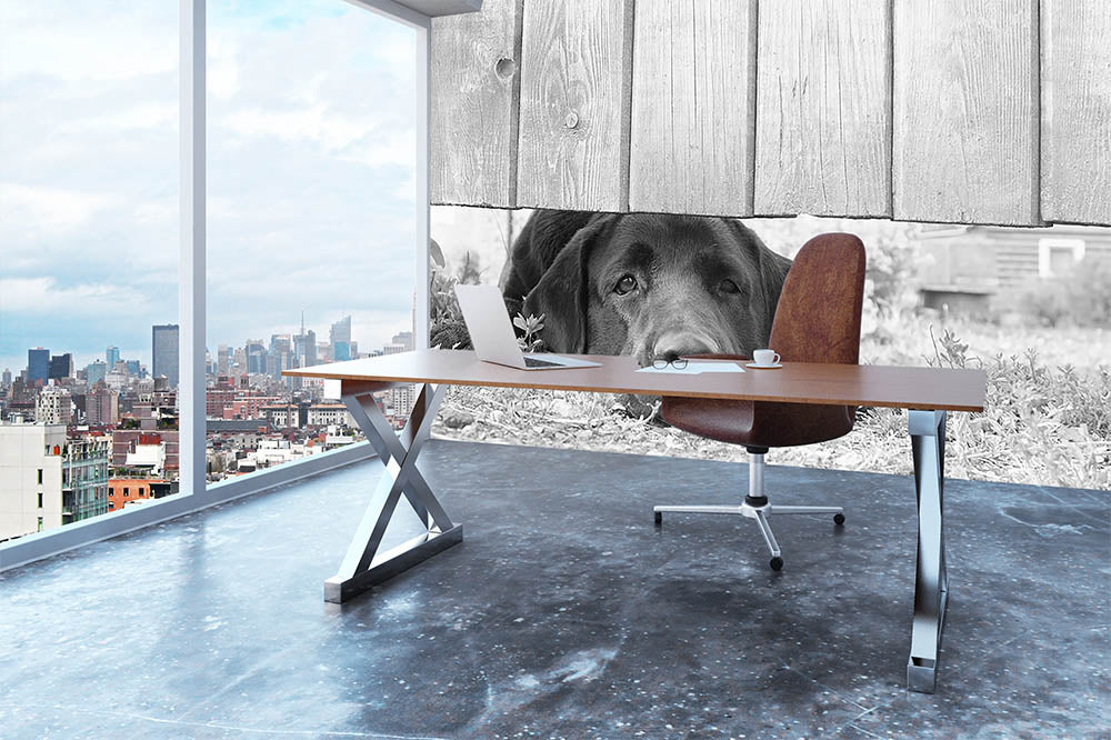 Cute sad dog waiting under the wooden fence Wall Mural Wallpaper - Canvas Art Rocks - 3