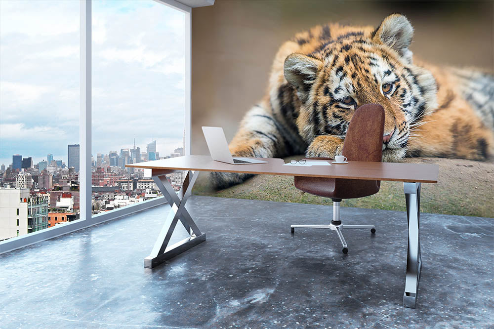 Cute tiger cub resting lazily Wall Mural Wallpaper - Canvas Art Rocks - 3