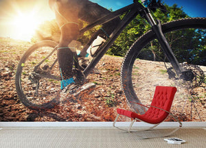 Cycling on land with stones Wall Mural Wallpaper - Canvas Art Rocks - 2