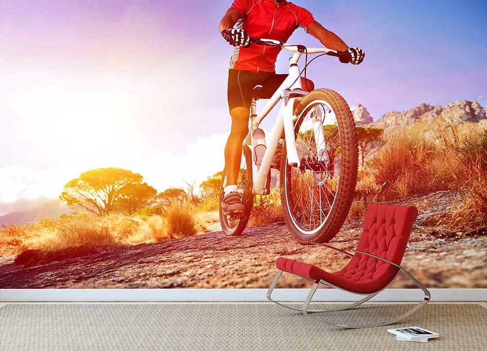 Cyclist riding mountain bike Wall Mural Wallpaper Canvas Art Rocks