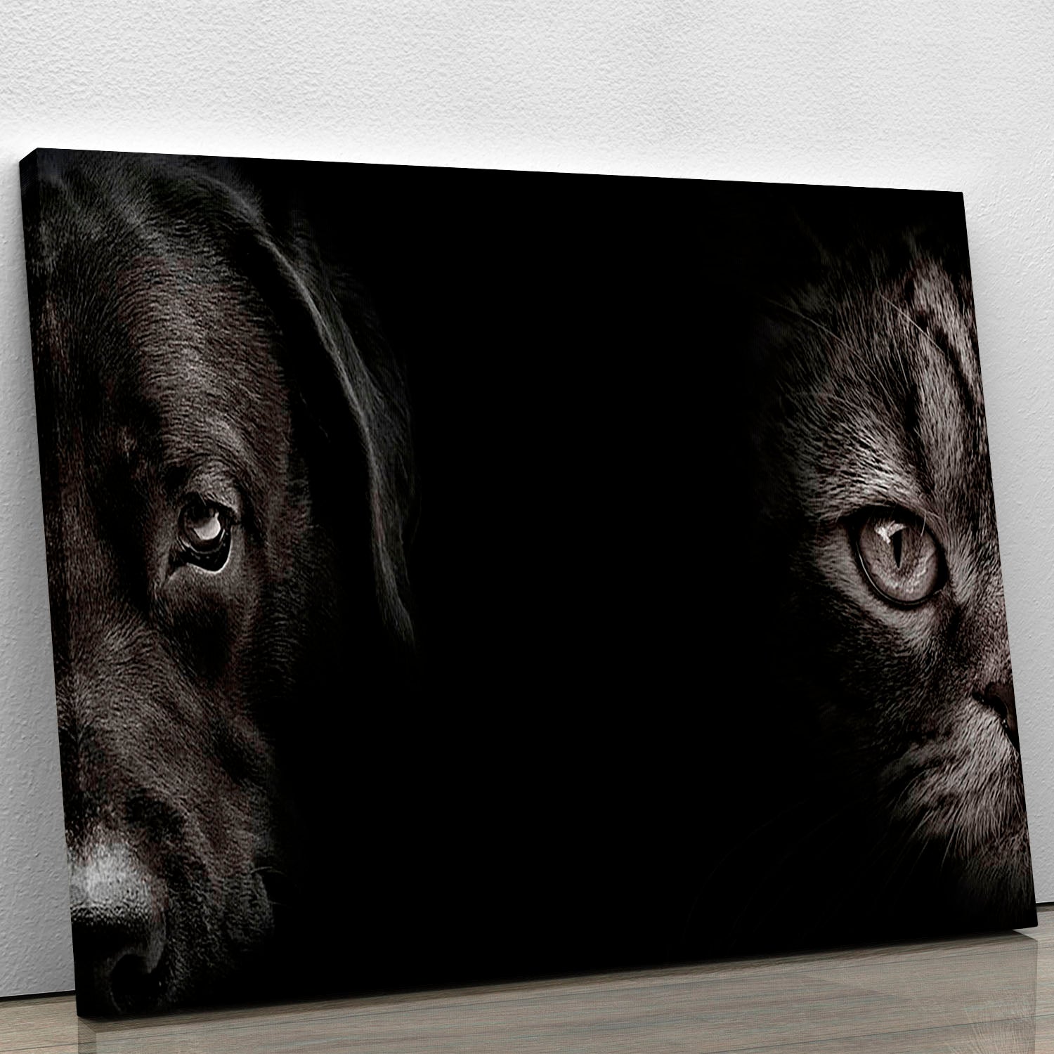 Dark muzzle labrador dog and cat Canvas Print or Poster - Canvas Art Rocks - 1