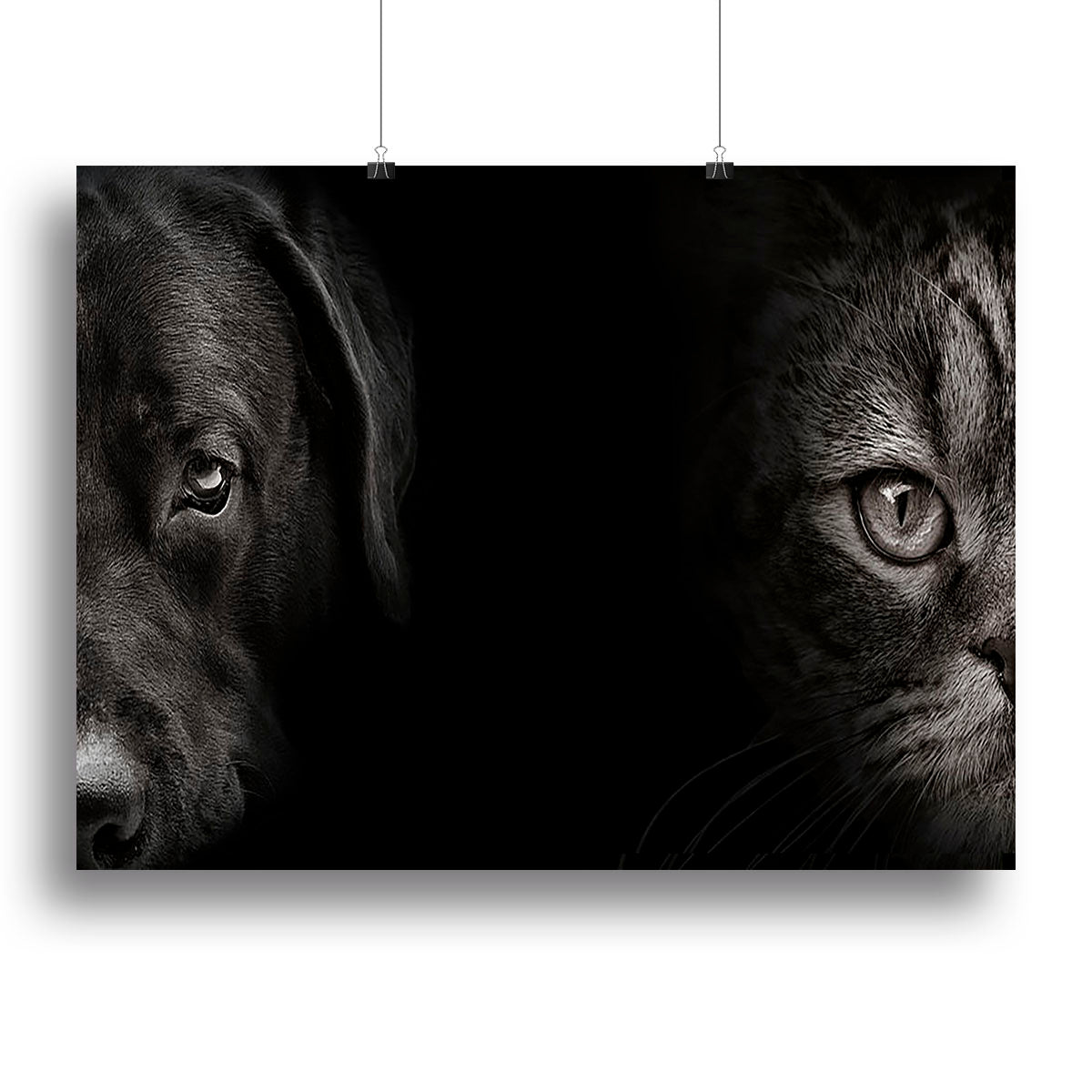 Dark muzzle labrador dog and cat Canvas Print or Poster - Canvas Art Rocks - 2