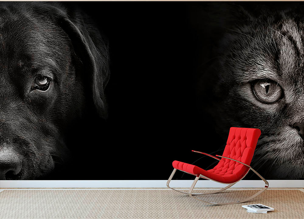 Dog and sale cat wall art