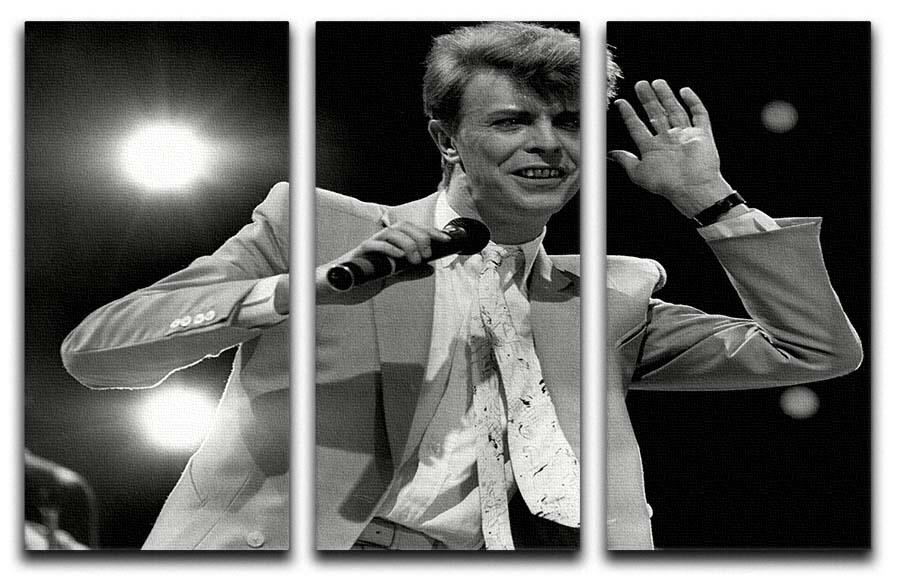 David Bowie in concert 3 Split Panel Canvas Print - Canvas Art Rocks - 1