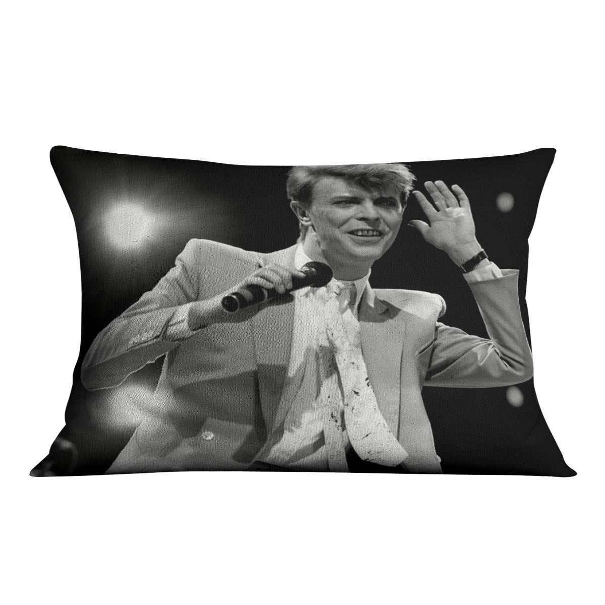 David Bowie in concert Cushion