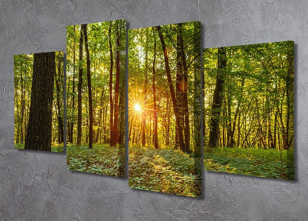 Dawn in the forest of Bavaria 4 Split Panel Canvas  - Canvas Art Rocks - 2