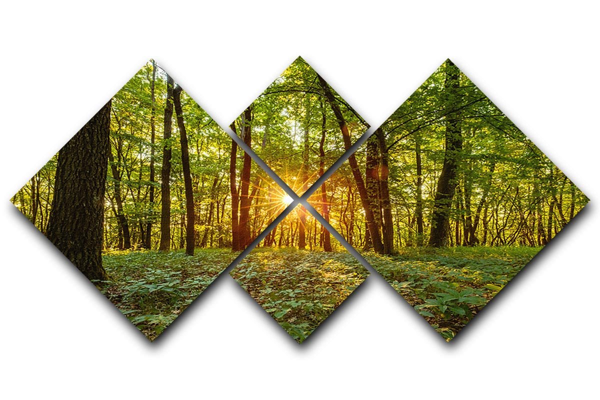 Dawn in the forest of Bavaria 4 Square Multi Panel Canvas  - Canvas Art Rocks - 1