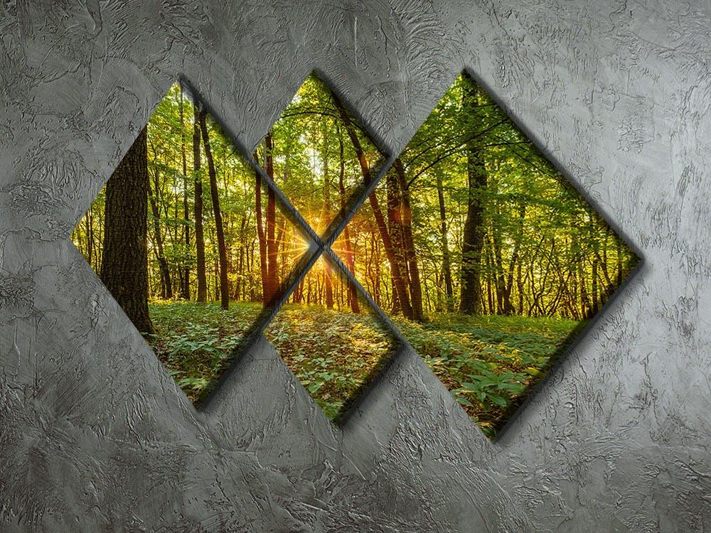 Dawn in the forest of Bavaria 4 Square Multi Panel Canvas  - Canvas Art Rocks - 2