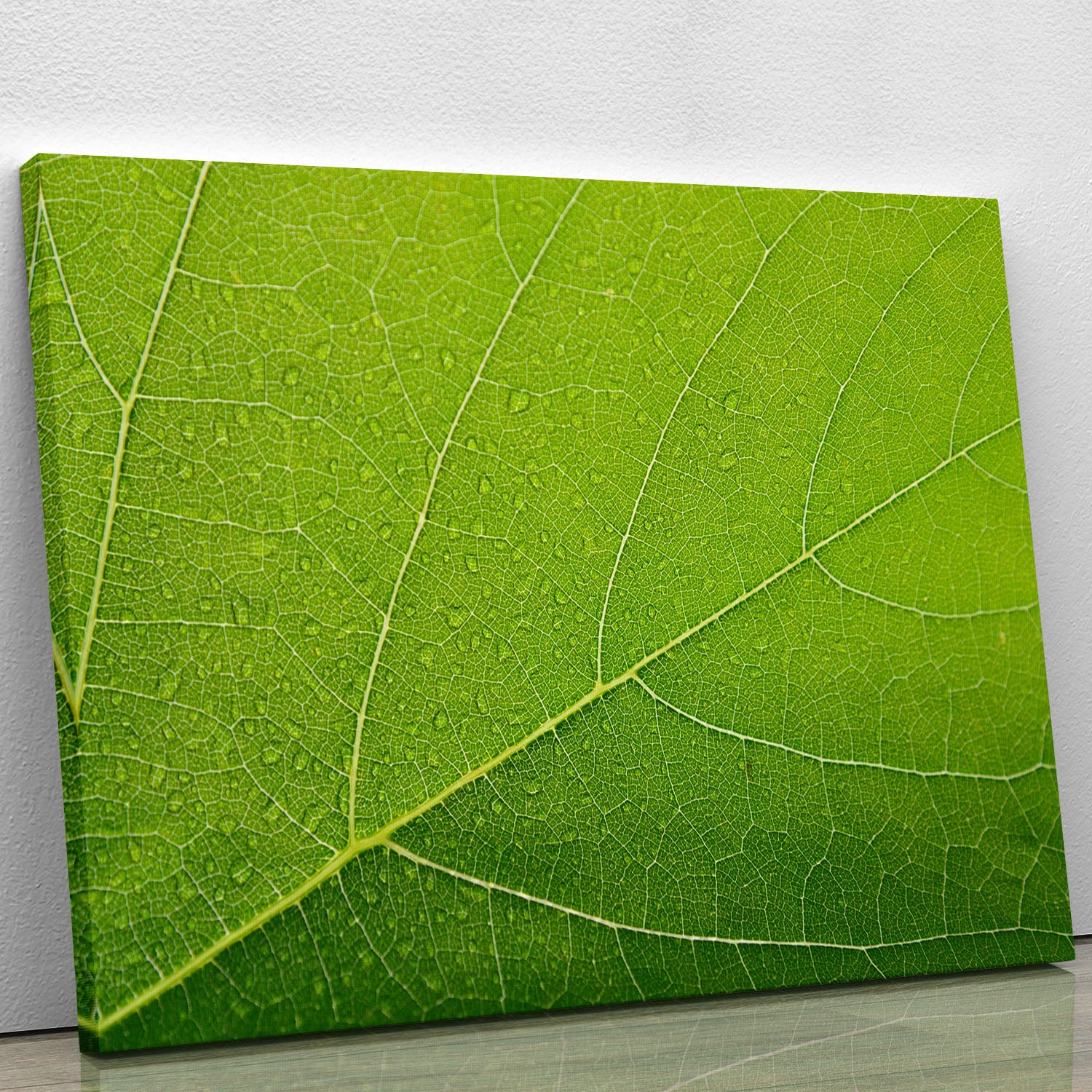 Detailed Wet Leaf Canvas Print or Poster - Canvas Art Rocks - 1