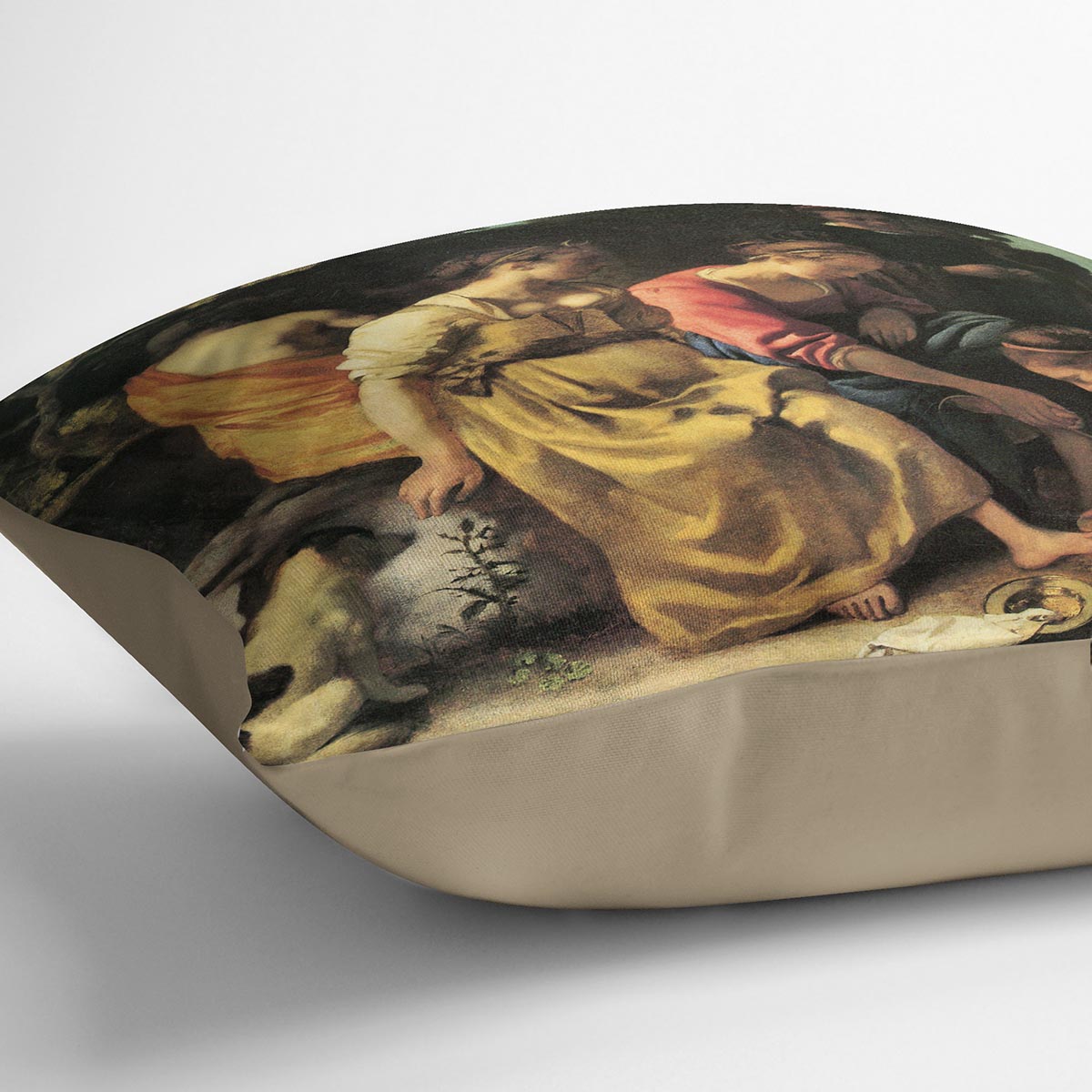 Diana and her nymphs by Vermeer Cushion
