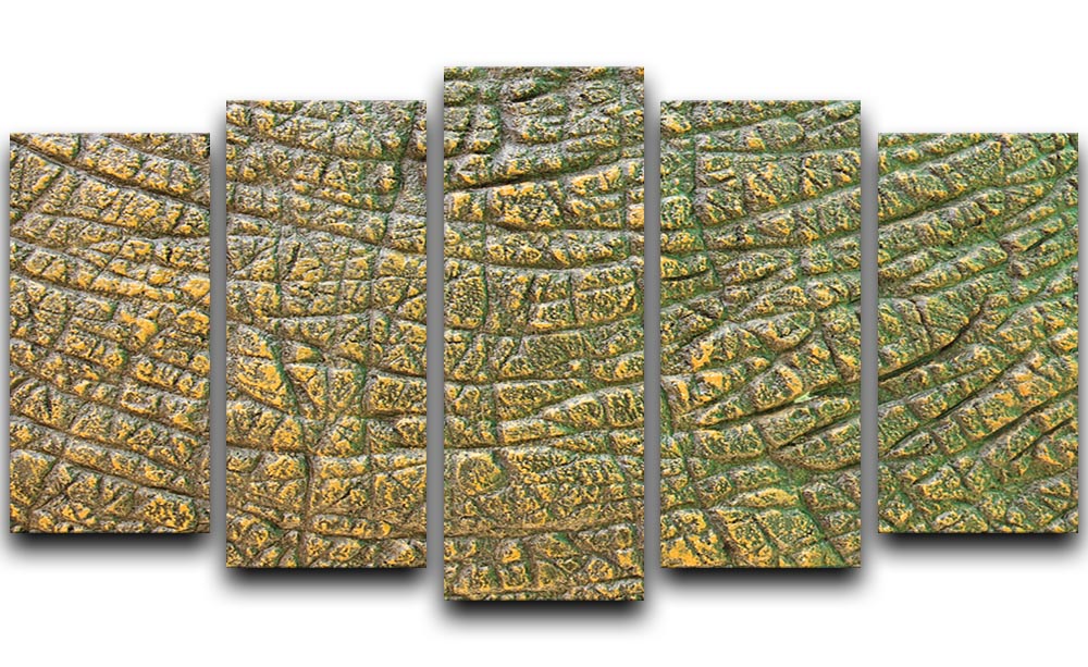 Dinosaur Skin Texture 5 Split Panel Canvas - Canvas Art Rocks - 1