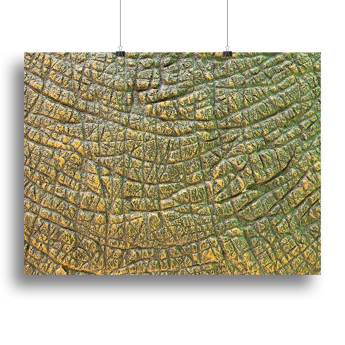 Dinosaur Skin Texture Canvas Print or Poster - Canvas Art Rocks - 2