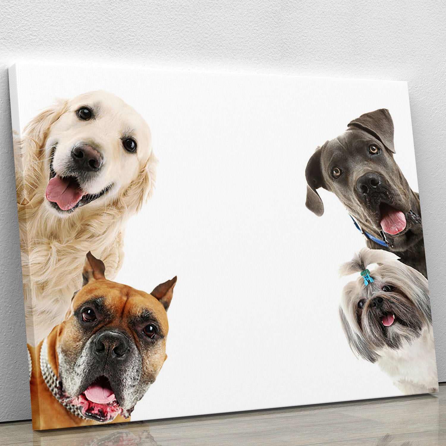 Dogs isolated on white Canvas Print or Poster - Canvas Art Rocks - 1