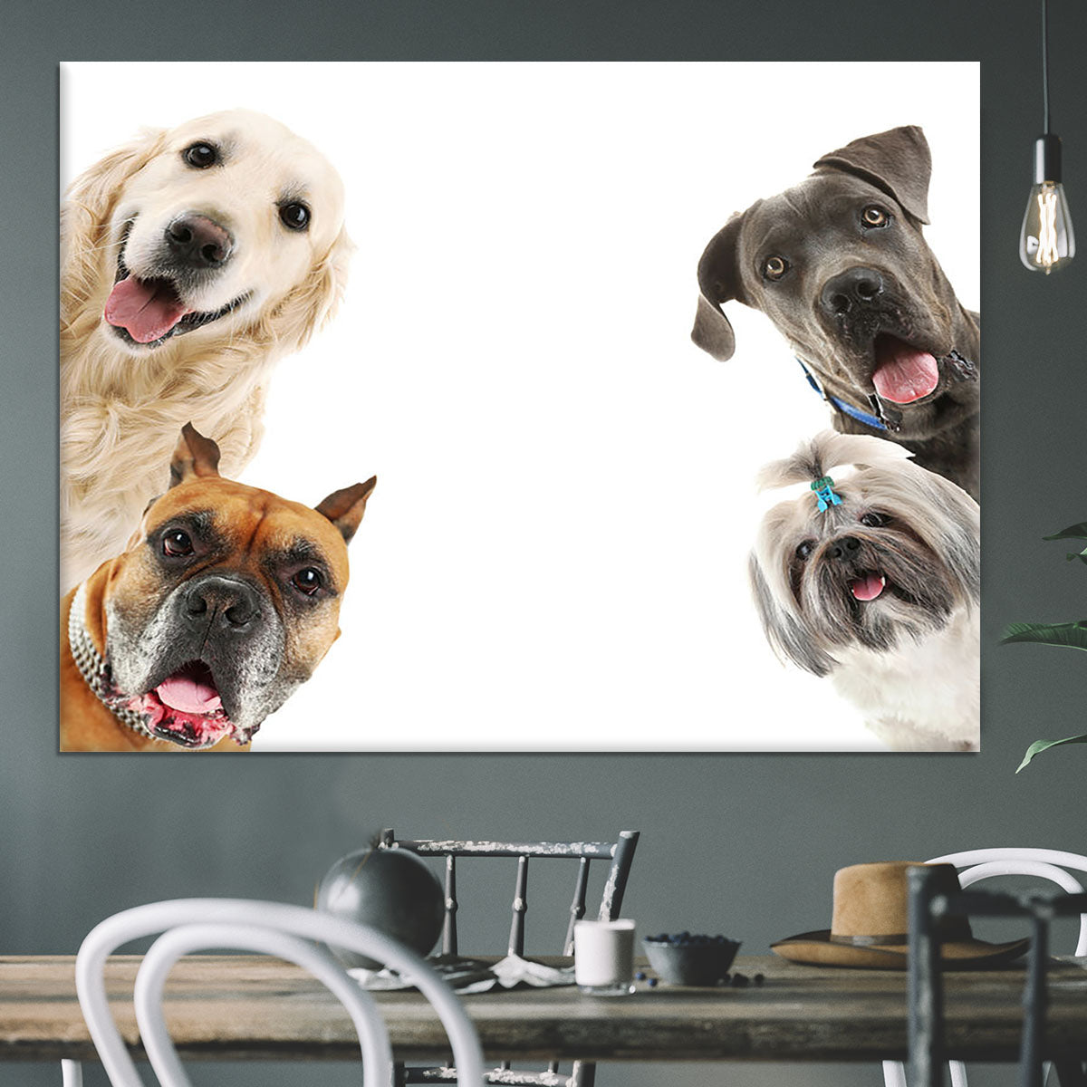 Dogs isolated on white Canvas Print or Poster - Canvas Art Rocks - 3
