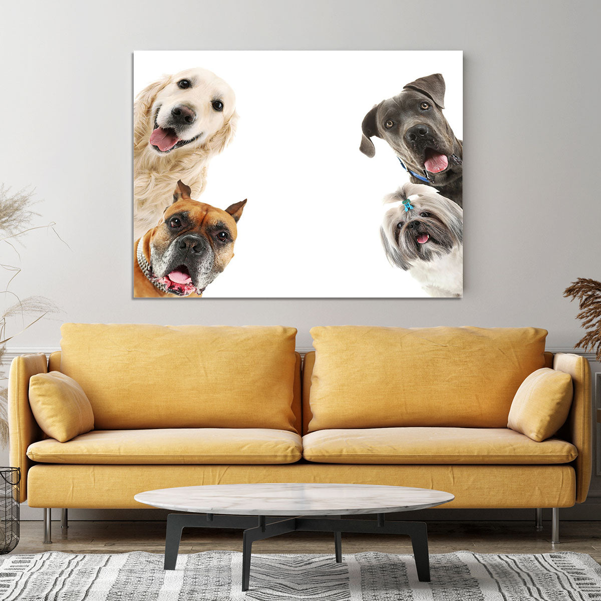 Dogs isolated on white Canvas Print or Poster - Canvas Art Rocks - 4