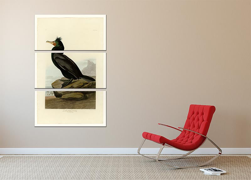 Double crested Cormorant by Audubon 3 Split Panel Canvas Print - Canvas Art Rocks - 2