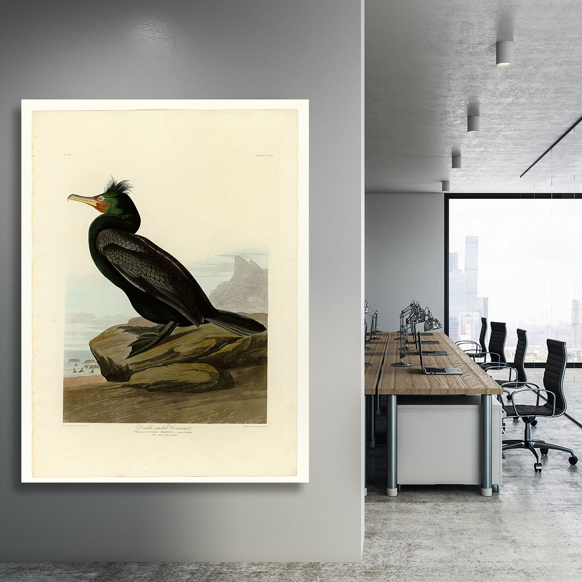 Double crested Cormorant by Audubon Canvas Print or Poster - Canvas Art Rocks - 3