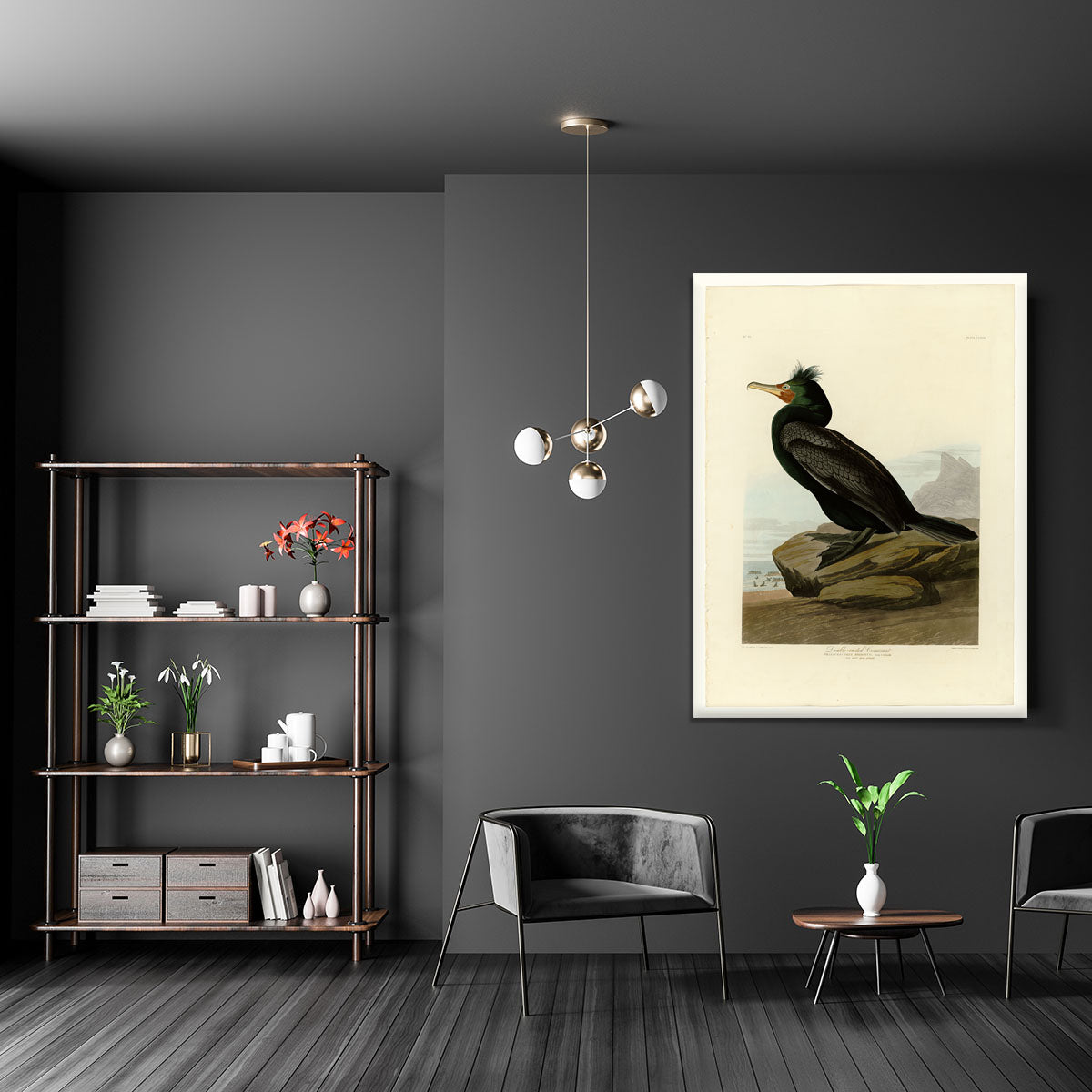 Double crested Cormorant by Audubon Canvas Print or Poster - Canvas Art Rocks - 5