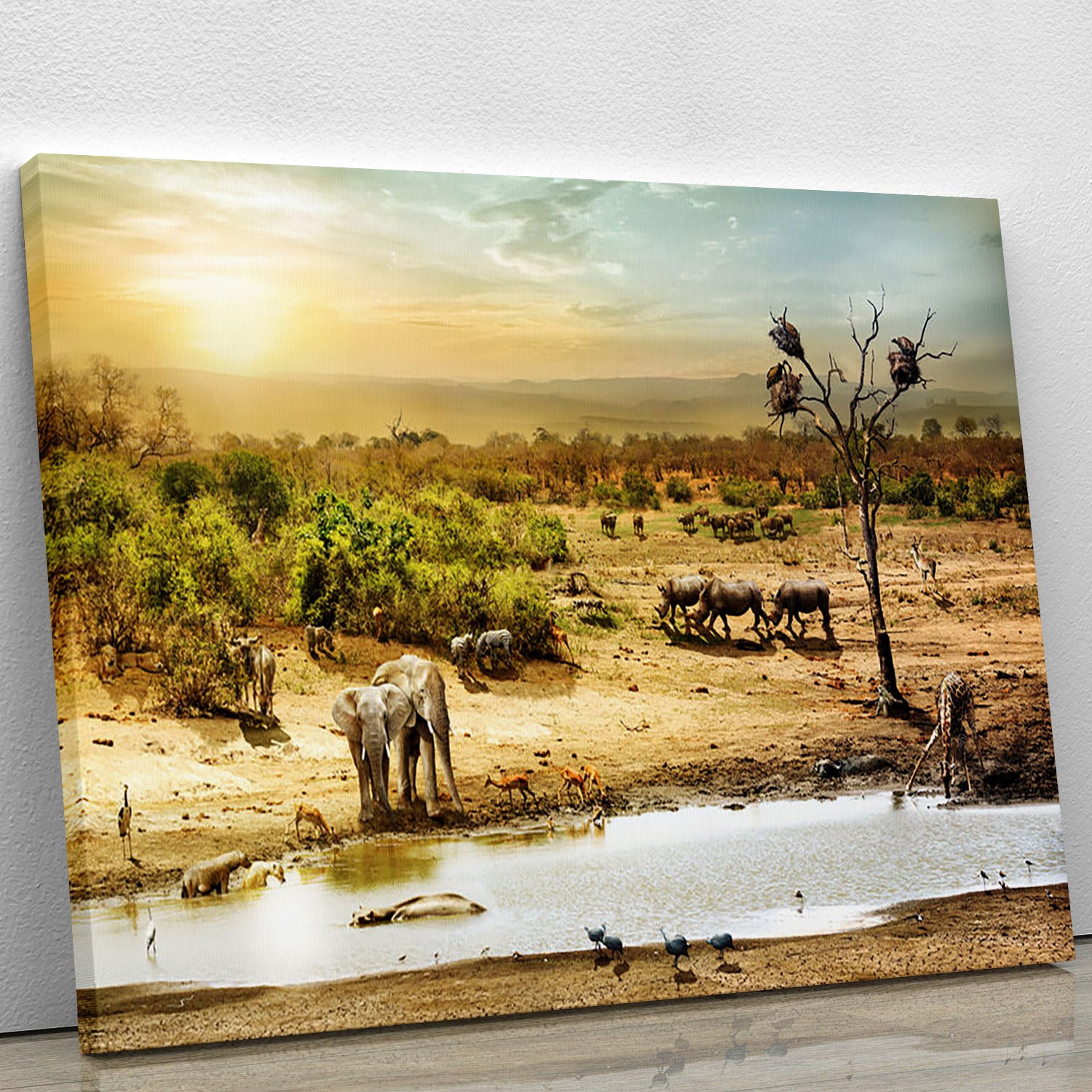Dreamy scene of common South African safari Canvas Print or Poster - Canvas Art Rocks - 1