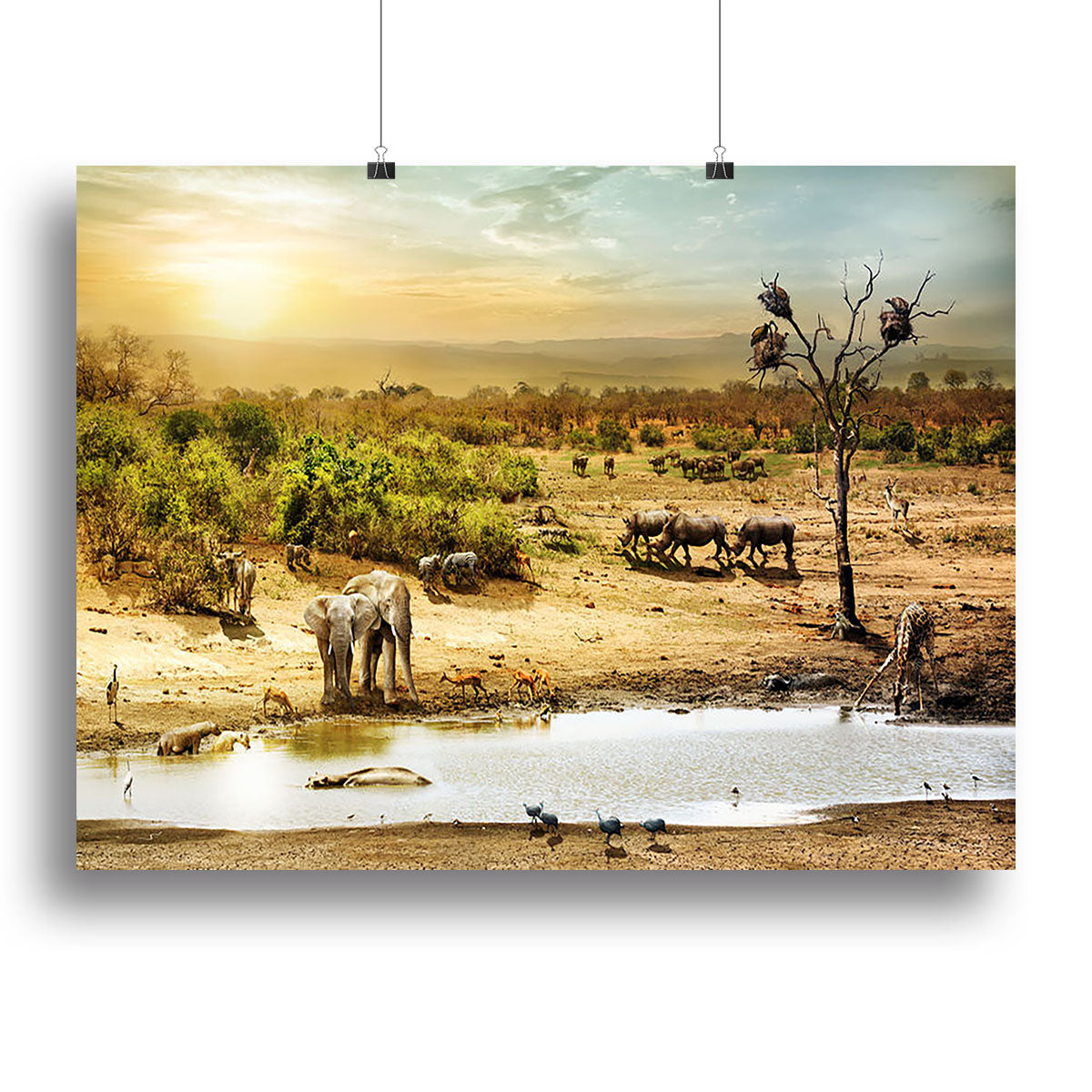 Dreamy scene of common South African safari Canvas Print or Poster - Canvas Art Rocks - 2