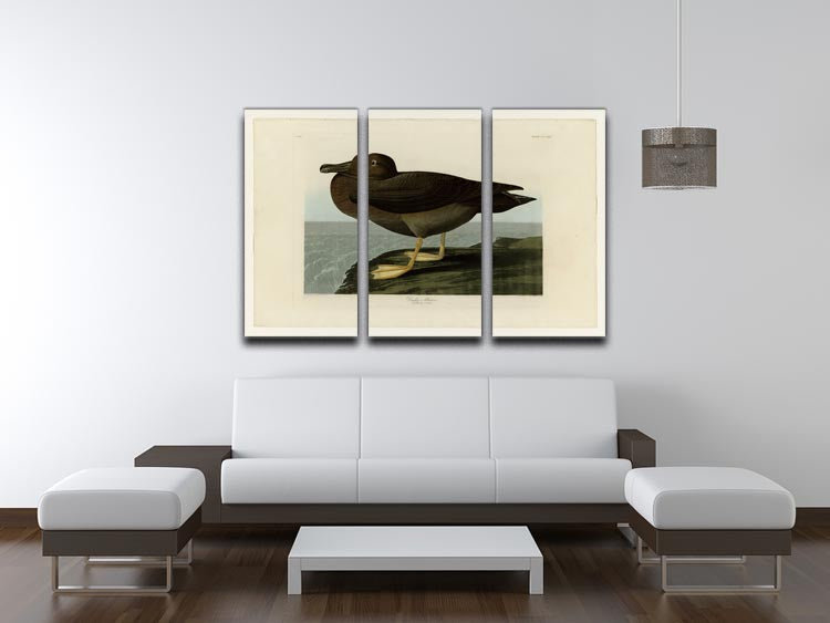Dusky Albatros by Audubon 3 Split Panel Canvas Print - Canvas Art Rocks - 3