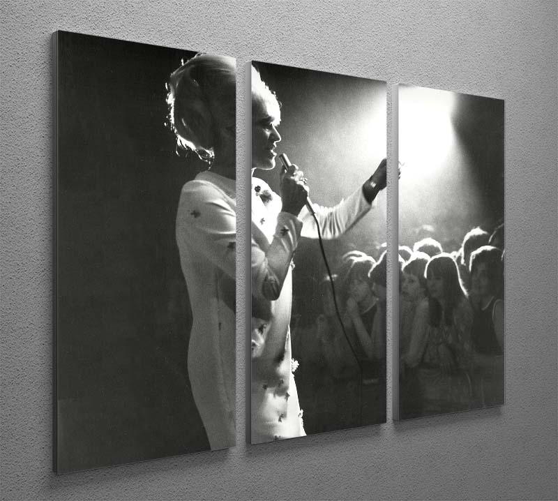 Dusty Springfield in the light 3 Split Panel Canvas Print - Canvas Art Rocks - 2