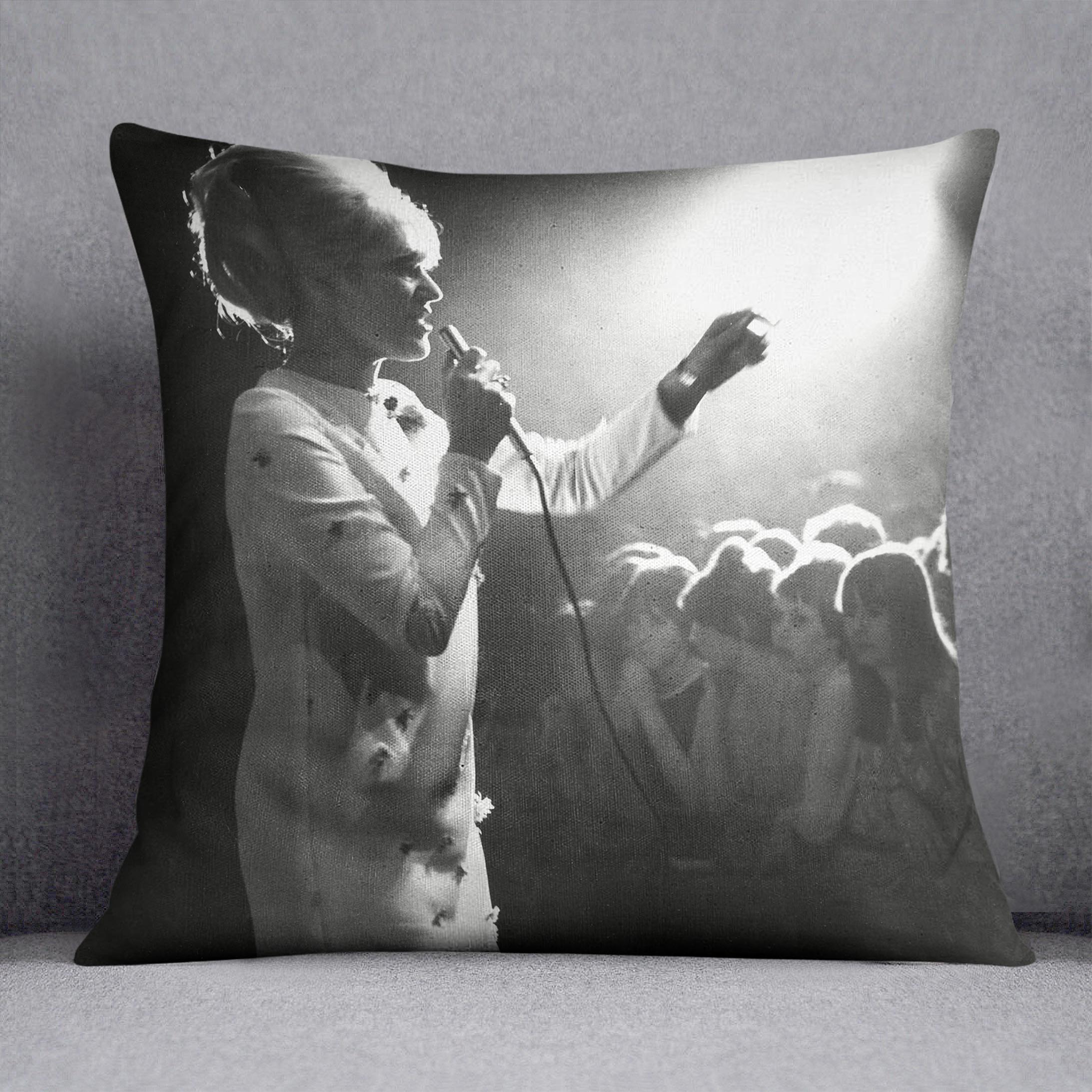 Dusty Springfield in the light Cushion