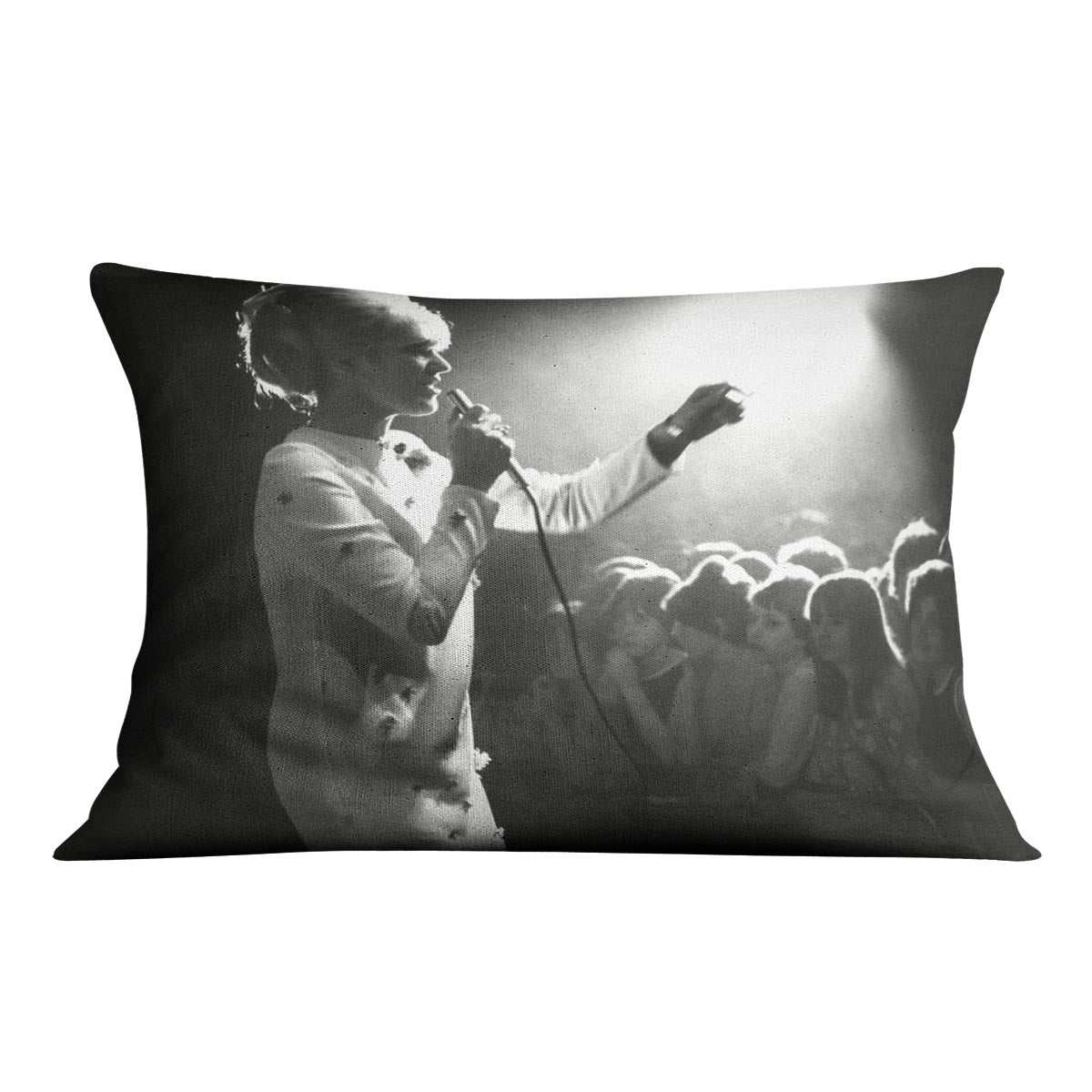 Dusty Springfield in the light Cushion
