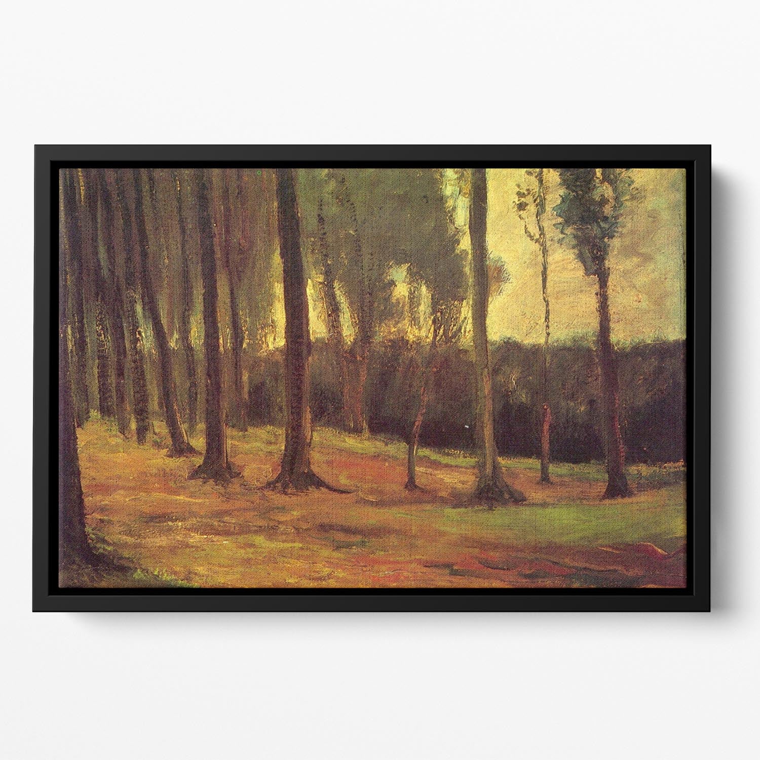 Edge of a Wood by Van Gogh Floating Framed Canvas