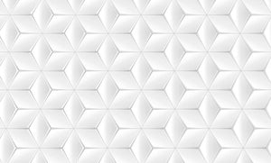 Elegant White Geometric Background Wall Mural Wallpaper - Canvas Art Rocks - 1