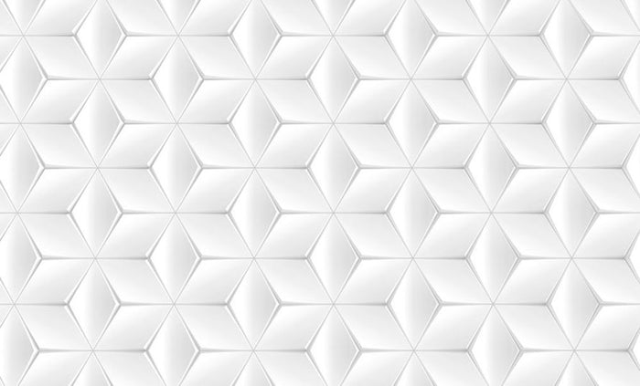 Elegant White Geometric Background Wall Mural Wallpaper