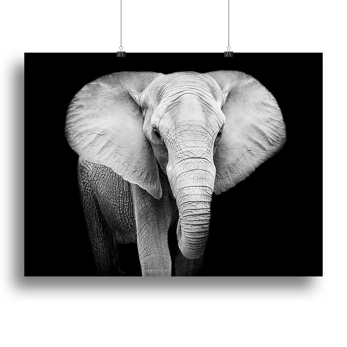 Elephant Canvas Print or Poster - Canvas Art Rocks - 2