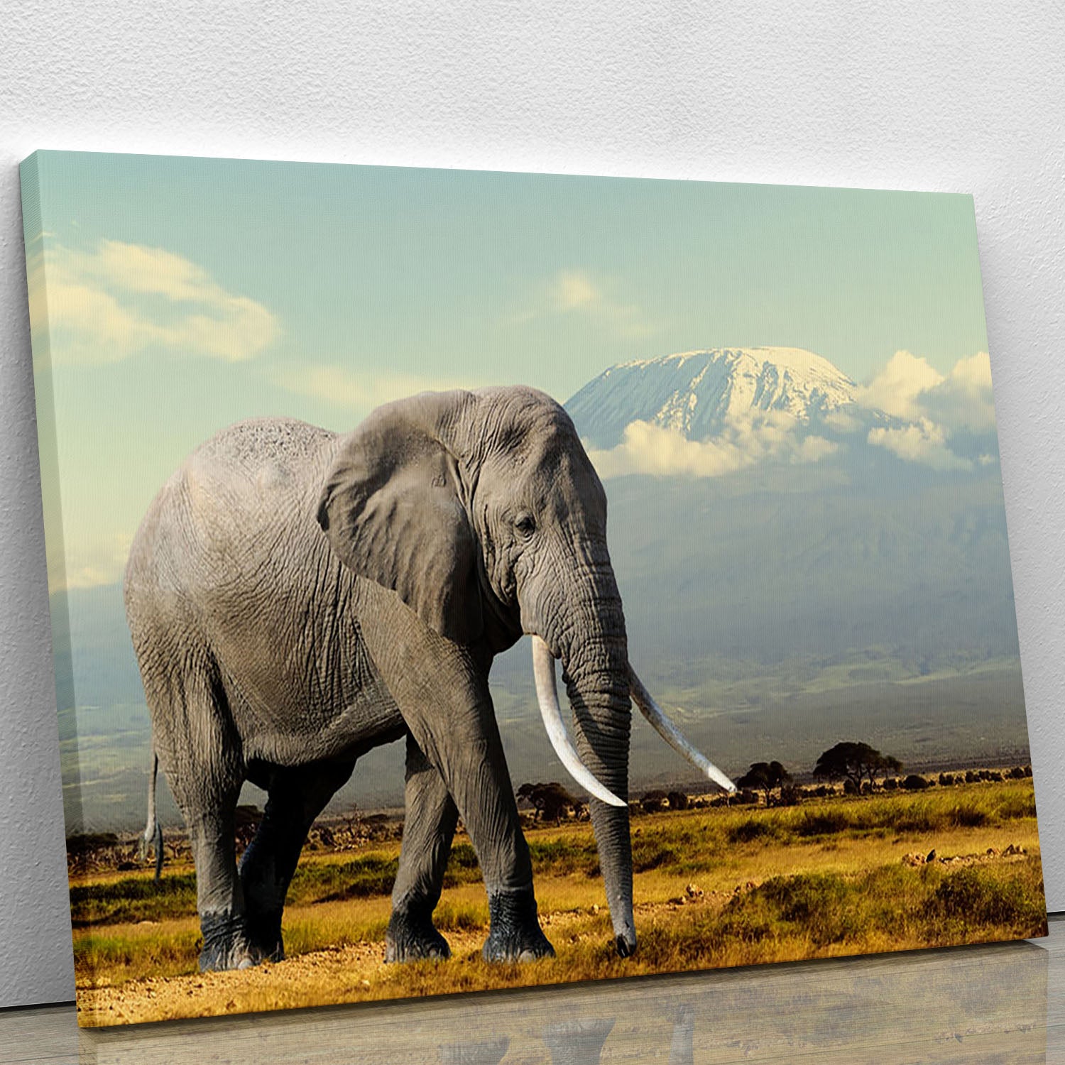 Elephant on Kilimajaro mount Canvas Print or Poster - Canvas Art Rocks - 1