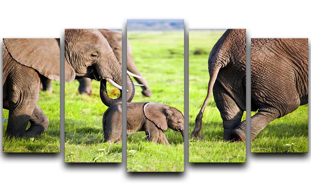 Elephants family on African savanna 5 Split Panel Canvas - Canvas Art Rocks - 1