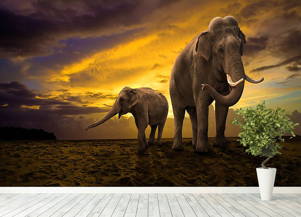 Elephants family on sunset Wall Mural Wallpaper - Canvas Art Rocks - 4