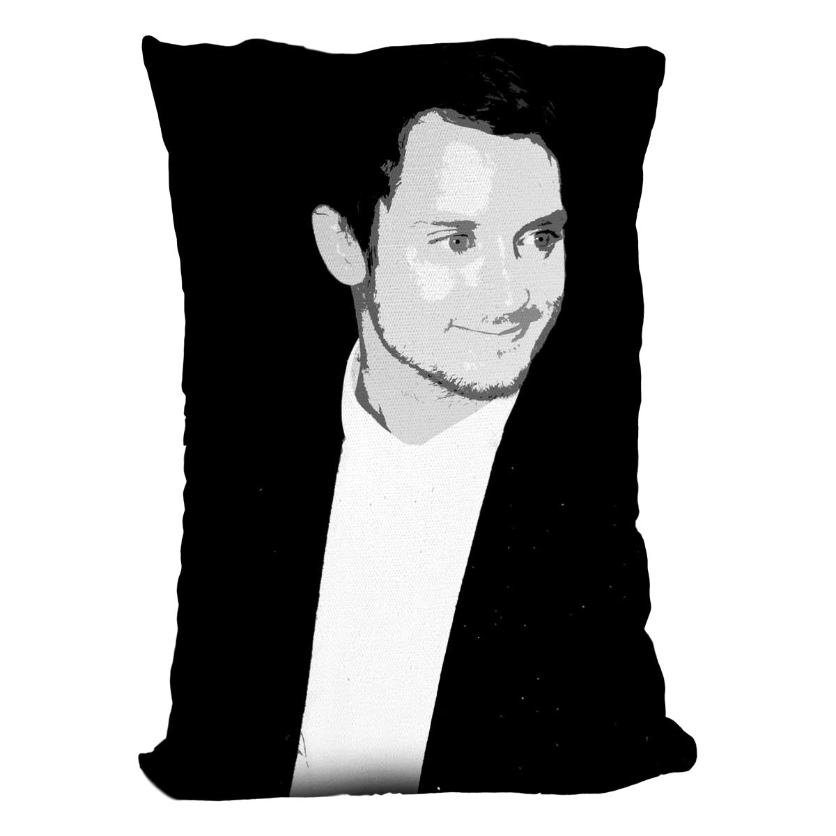 Elijah Wood Pop Art Cushion