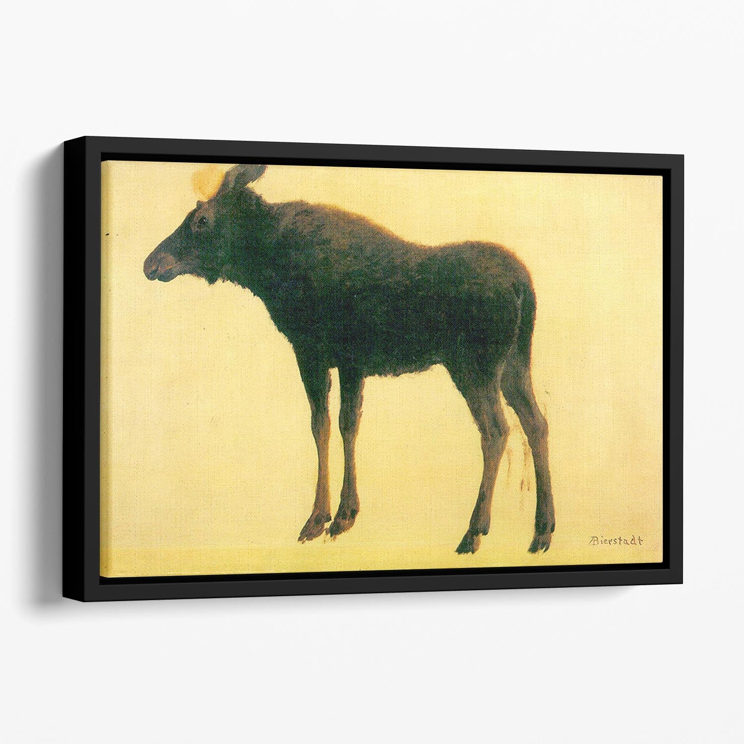 Elk by Bierstadt Floating Framed Canvas - Canvas Art Rocks - 1