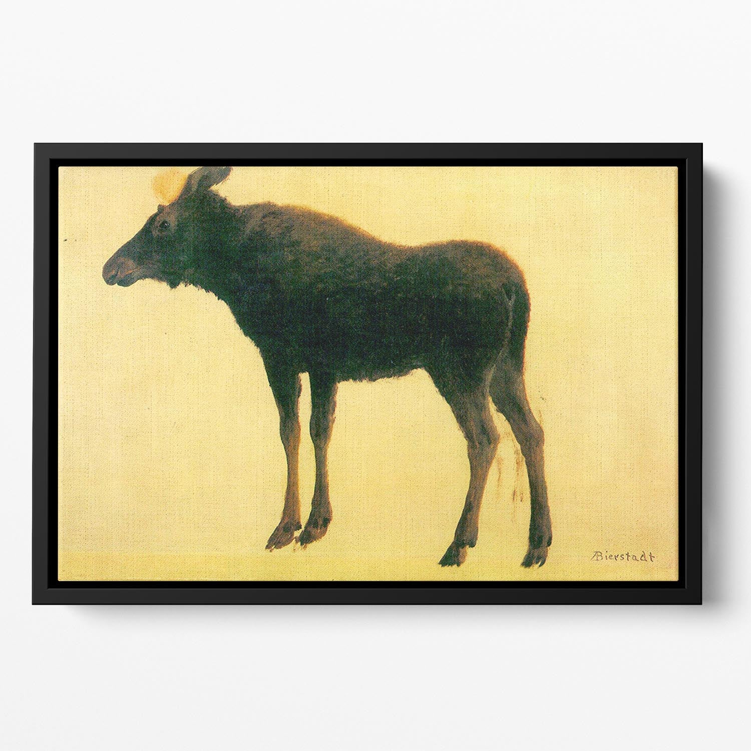 Elk by Bierstadt Floating Framed Canvas - Canvas Art Rocks - 2