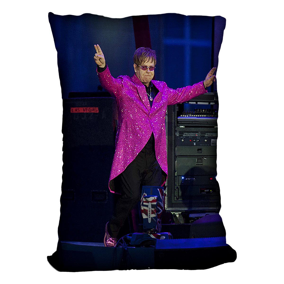 Elton John in concert Cushion