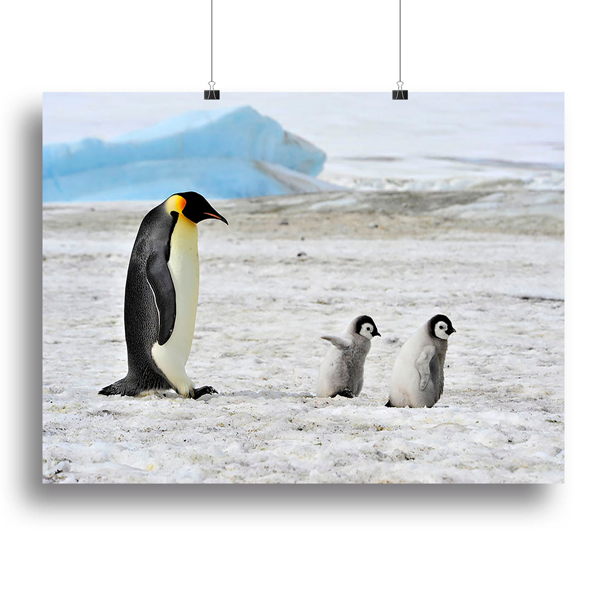 Emperor Penguin with two chicks in Antarctica Canvas Print or Poster - Canvas Art Rocks - 2
